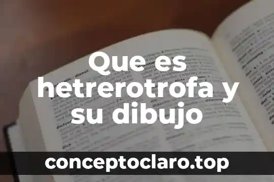Que es hetrerotrofa y su dibujo