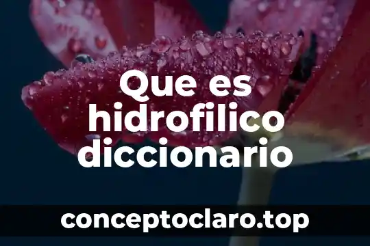 Qué es grageas diccionario 5 Que es hidrofilico diccionario