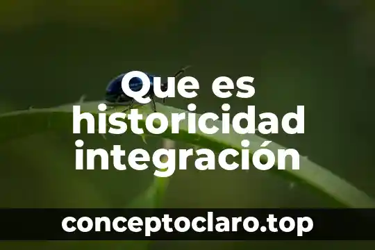 Qué es la integración laboral 5 Que es historicidad integración