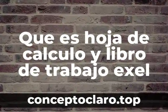 Que es hoja de calculo y libro de trabajo exel