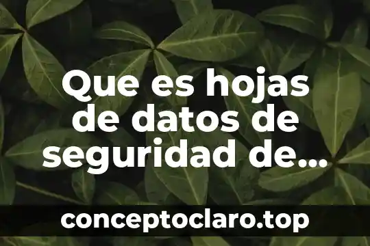 Que es hojas de datos de seguridad de los materiales