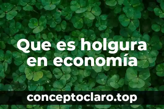 Que es holgura en economía