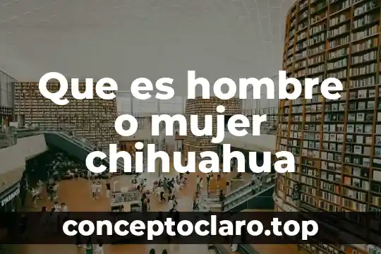 Que es hombre o mujer chihuahua