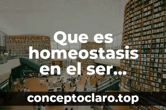 Que es ser un emprendor 7 Que es homeostasis en el ser humano