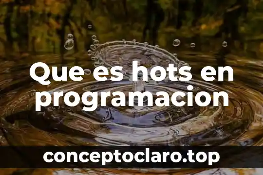Que es concurrencia en programación 5 Que es hots en programacion