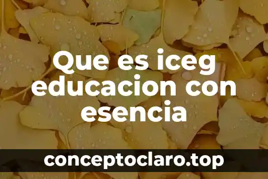 Educación por competencia que es 3 Que es iceg educacion con esencia