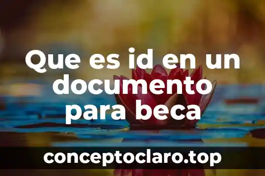 Qué es el número de id de una persona 4 Que es id en un documento para beca