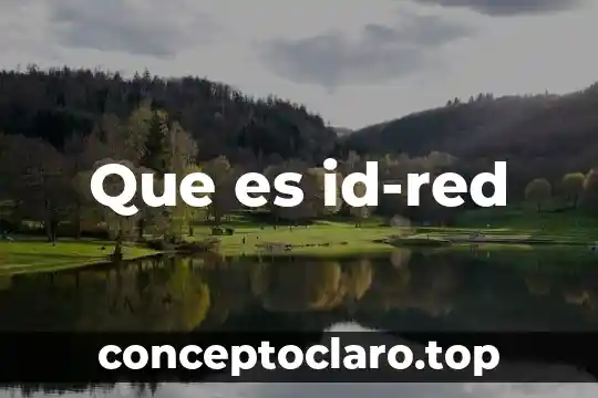 Que es id-red