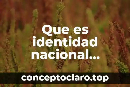 Que es identidad nacional definicion