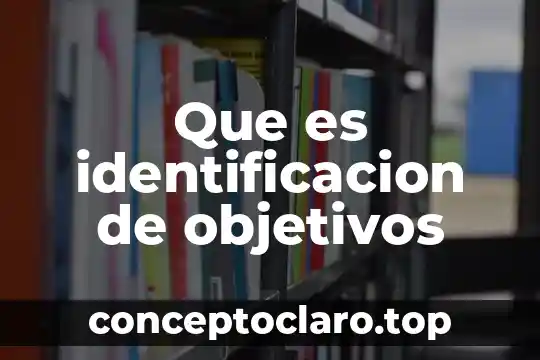 Qué es número de identificación de la auditoría 3 Que es identificacion de objetivos