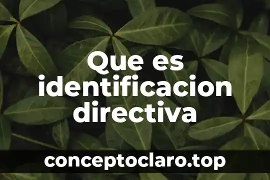 Qué es número de identificación de la auditoría 4 Que es identificacion directiva