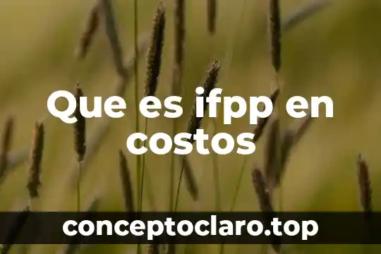 Que es ifpp en costos