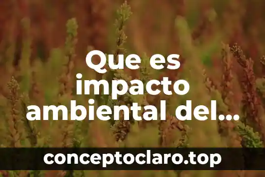 Que es impacto ambiental del barro