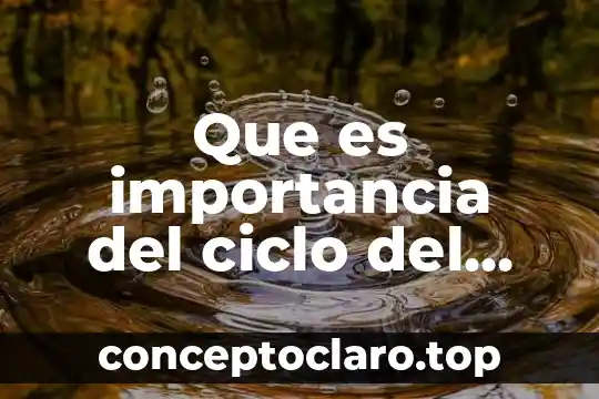 Que es la agua entubada 8 Que es importancia del ciclo del agua actividades