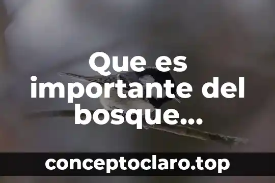 Por que es importante el voto digital 8 Que es importante del bosque templado