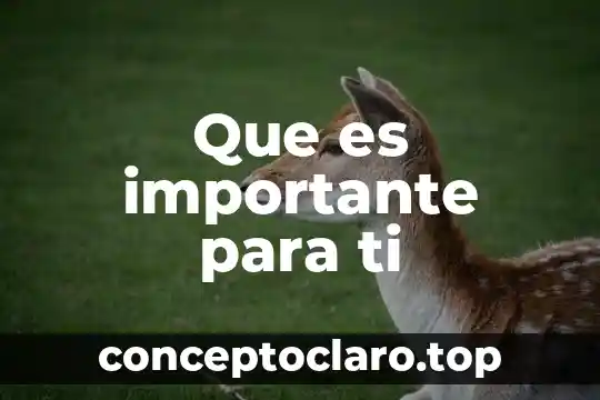 Por que es importante analizar las desviaciones de un presupuesto 6 Que es importante para ti