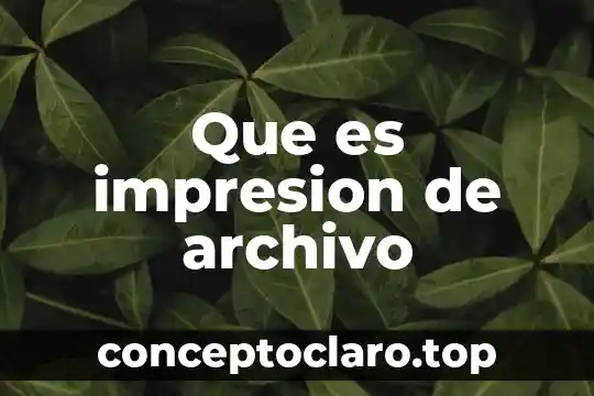 Que es archivo wma 7 Que es impresion de archivo
