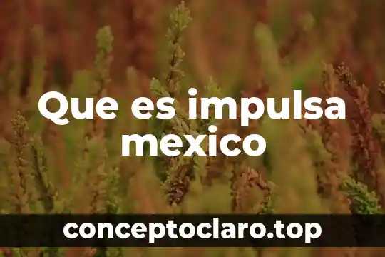 Que es la bandera de mexico y su historia 5 Que es impulsa mexico