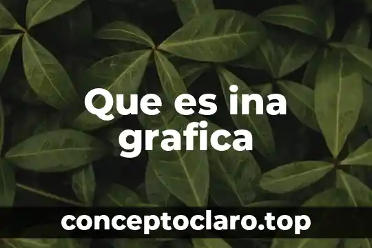 Que es ina grafica