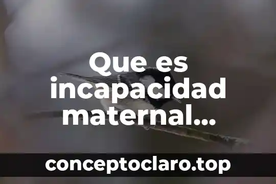 Que es la ley de accidentes de trabajo 5 Que es incapacidad maternal riesgo de trabajo emfermedad y accidentes