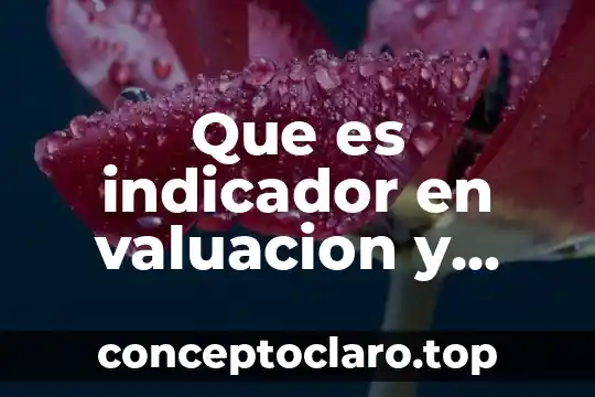Que es indicador en valuacion y como se identifica