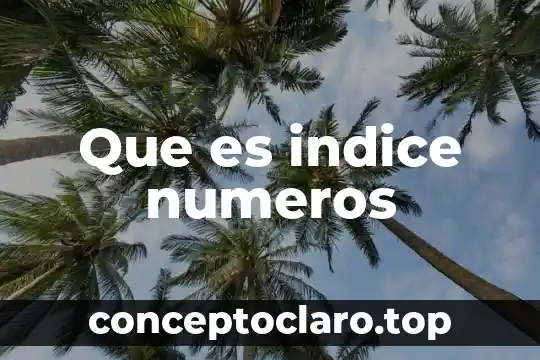 Que es indice numeros