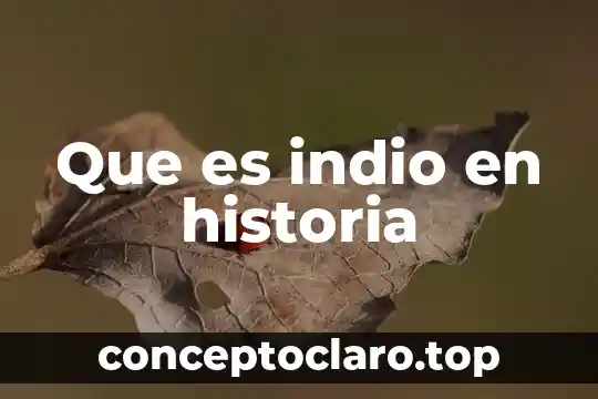 Que es historia antigua y que periodos abarca 6 Que es indio en historia