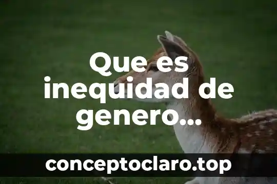 Que es inequidad de genero concepto