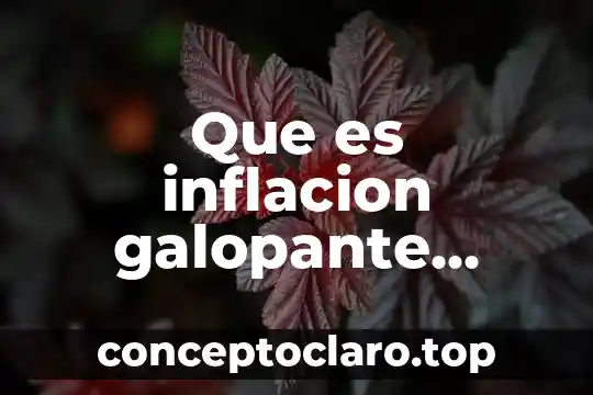 Que es inflacion galopante concepto
