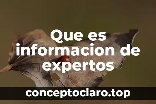 Información sobre la resonancia magnética que es 8 Que es informacion de expertos