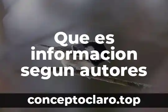 Que es informacion segun autores