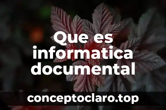 Que es informatica documental