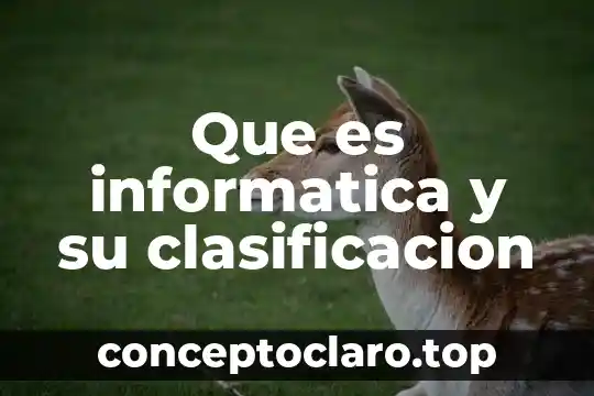 Que significa o que es un algoritmo en informática 4 Que es informatica y su clasificacion
