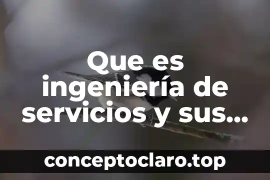 Que es ingeniería de servicios y sus etapas