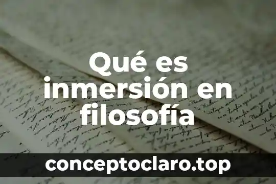 Qué es inmersión en filosofía