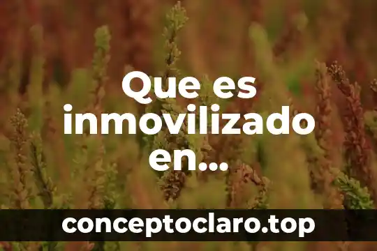 Que es inmovilizado en contabilidad