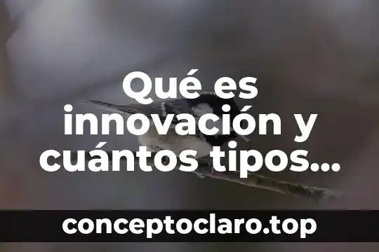 Que es un encoder y cuantos tipos hay 4 Qué es innovación y cuántos tipos de INPs existen