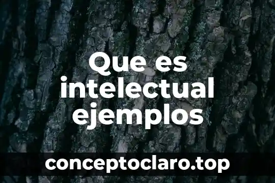 Que es intelectual ejemplos