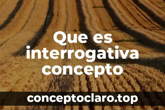 Que es interrogativa concepto