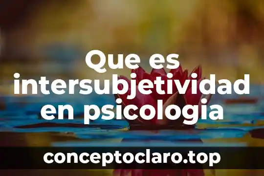 Que es intersubjetividad en psicologia