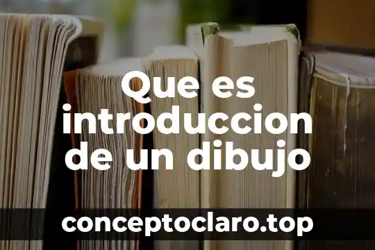 Que es introduccion de un dibujo