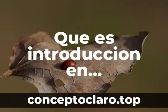 Que es introduccion en metodologia de la investigacion