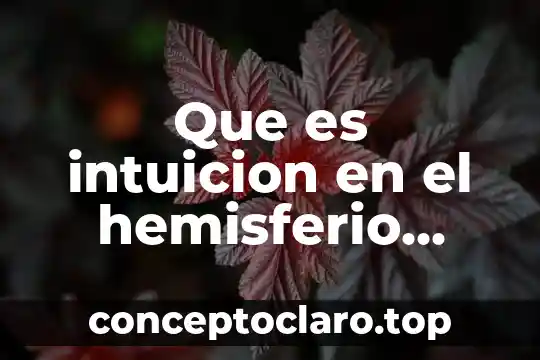 Que es intuicion en el hemisferio derecho