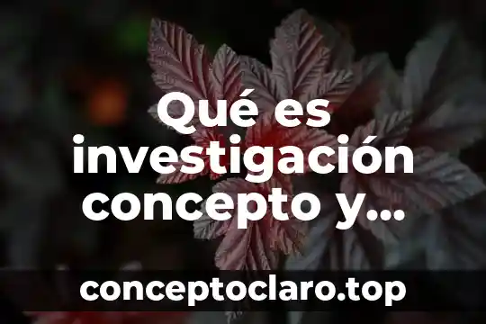 El concepto de magnitud 5 Qué es investigación concepto y objetivo y características