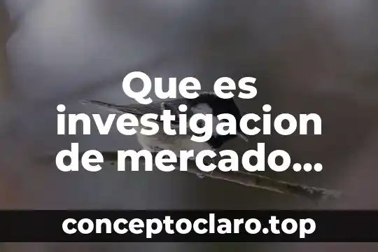 Que es absorcion de agua en los suelos agricolas autores 3 Que es investigacion de mercado diferentes autores