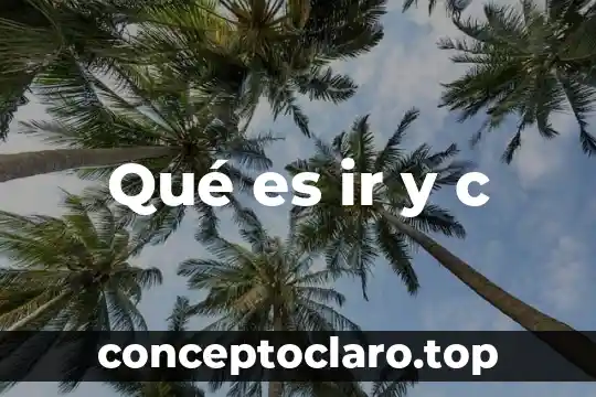Qué es ir y c
