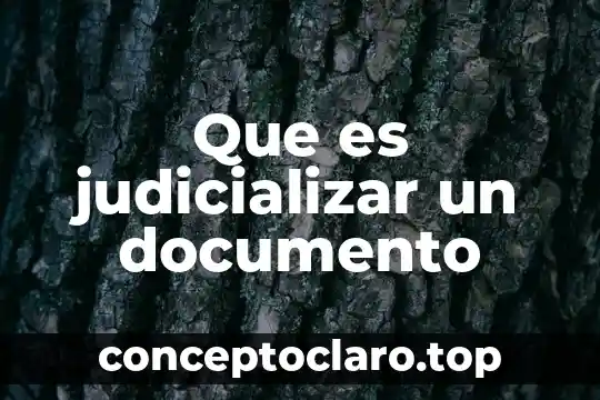 Que es la respetar la libertad cultural 3 Que es judicializar un documento