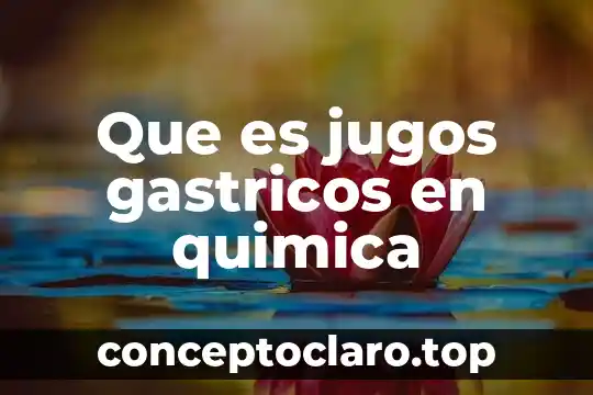 Que es compuesto en quimica organica 6 Que es jugos gastricos en quimica