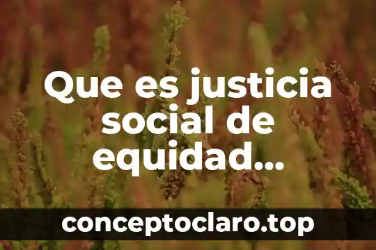 Que es justicia social de equidad tributaria