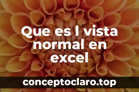 Que es l en matematicas 8 Que es l vista normal en excel